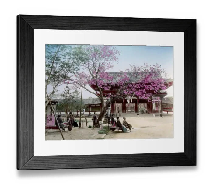Framed Print : Daibutsu Nara temple, Japan, Asia Framed Print : Daibutsu Nara temple, Japan, Asia