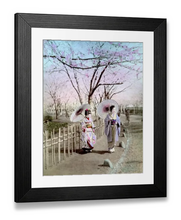 Framed Print : Two geishas, ​​cherry blossom, Japan, Asia