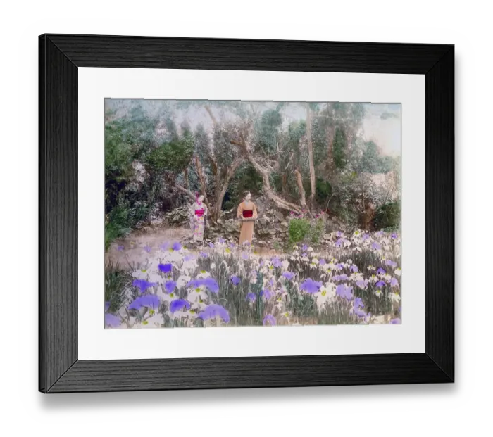 Framed Print : Horikiri Iris garden, Tokyo, Japan, Asia Framed Print : Horikiri Iris garden, Tokyo, Japan, Asia