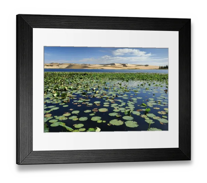 Framed Print : White Lake with water lilies, sand dune behind the White Sand Dunes
