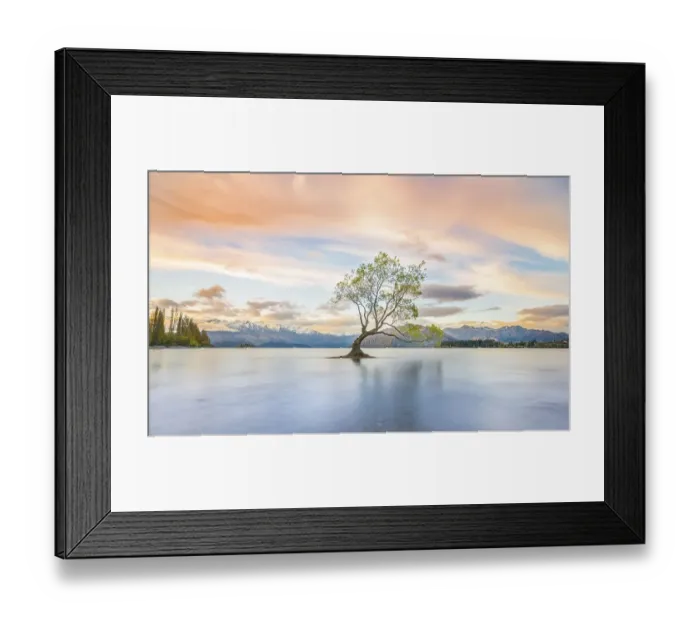 Framed Print : Sunrise, single tree standing in water