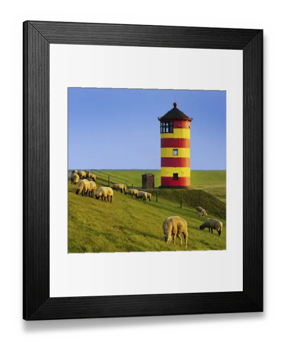 Framed Print : Pilsum lighthouse with sheep on the dike