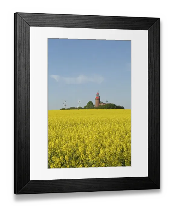 Framed Print : Lighthouse Buk with flowering rape field Framed Print : Lighthouse Buk with flowering rape field