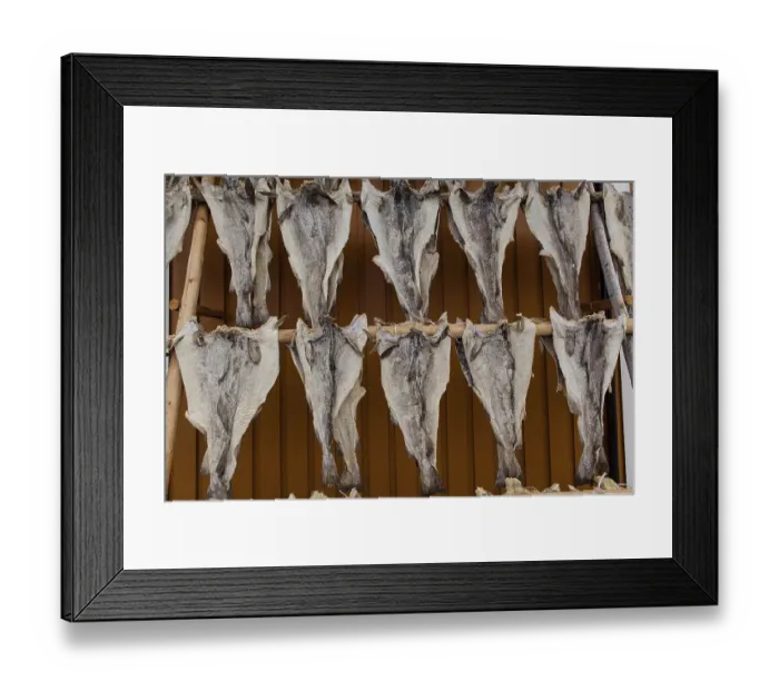 Framed Print : Dried fish, Hamnoy, Lofoten, Nordland Framed Print : Dried fish, Hamnoy, Lofoten, Nordland