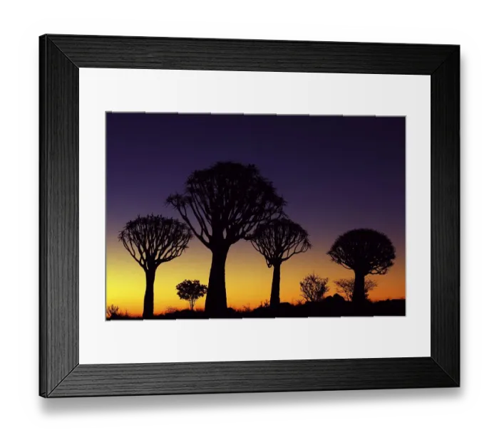 Framed Print : Quiver tree forest at sunset, Keetmanshoop