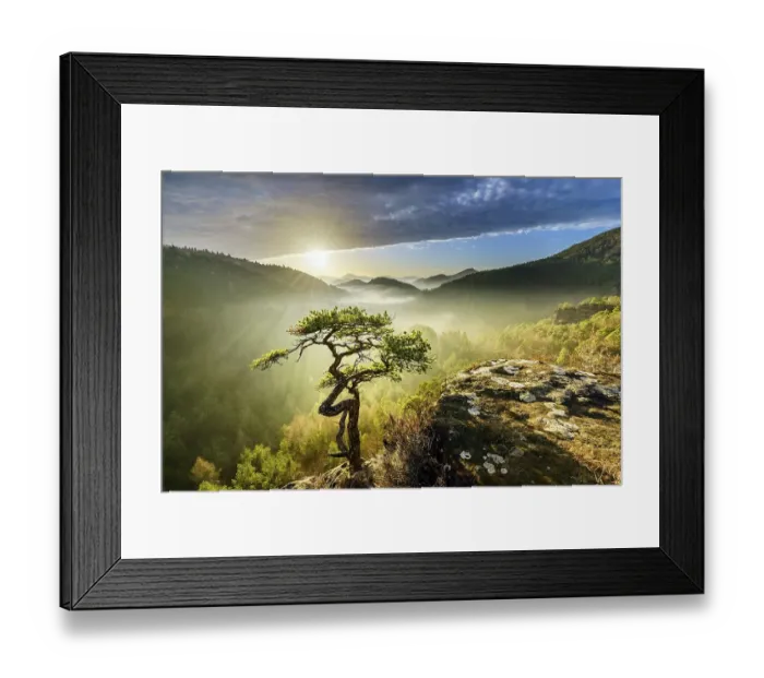 Framed Print : Palatinate Forest, Evening mood