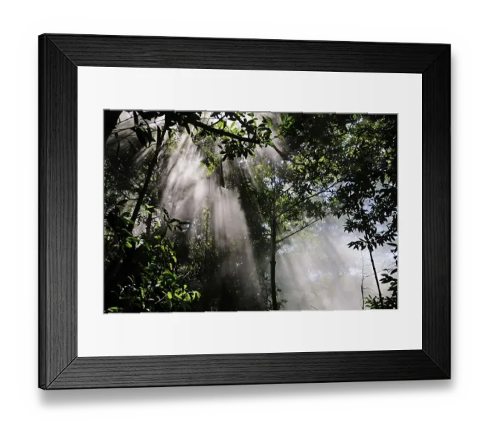 Framed Print : Sulfurous mist at Rincon de la Vieja National Park Framed Print : Sulfurous mist at Rincon de la Vieja National Park