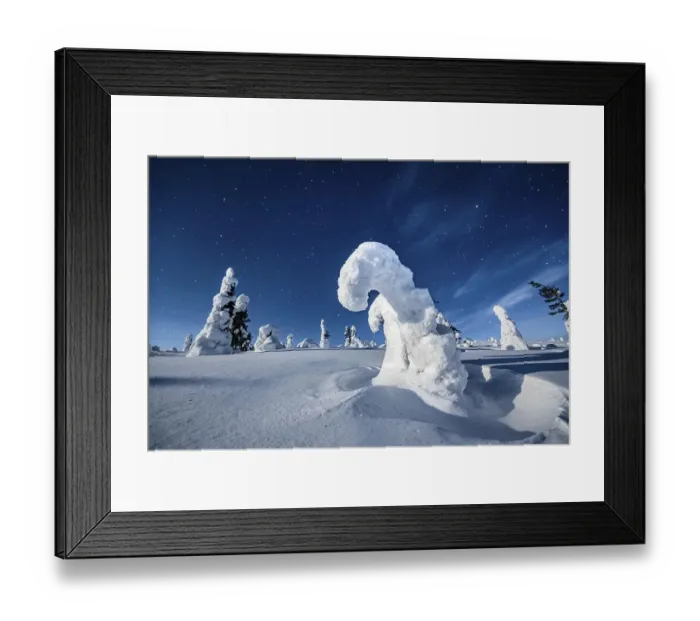 Framed Print : Night shot with starry sky in winter Framed Print : Night shot with starry sky in winter
