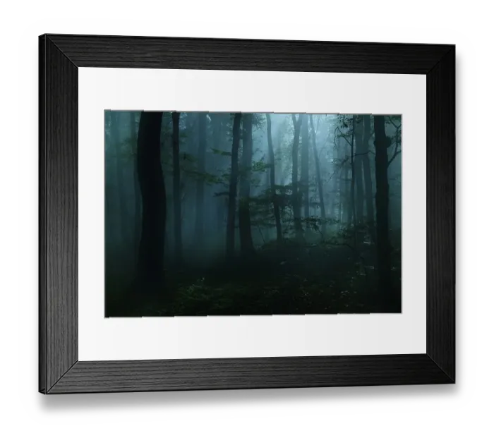 Framed Print : Mysterious dark forest at night with fog and moonlight Framed Print : Mysterious dark forest at night with fog and moonlight
