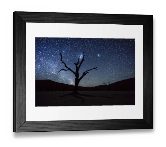 Framed Print : Dead tree in front of starry sky with Milky Way