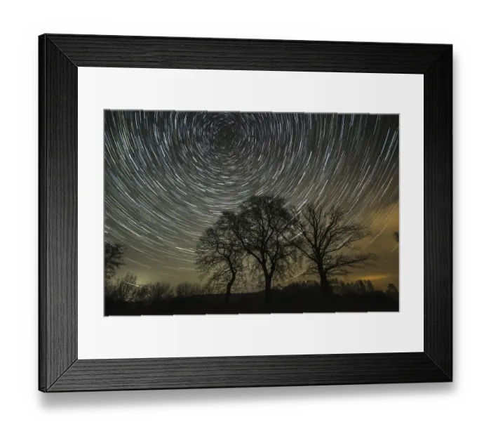 Framed Print : Star trails over trees in the night sky Framed Print : Star trails over trees in the night sky