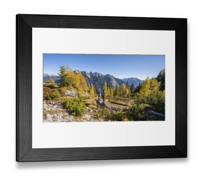 Framed Print : Two hikers in the landscape, larch forest in autumn