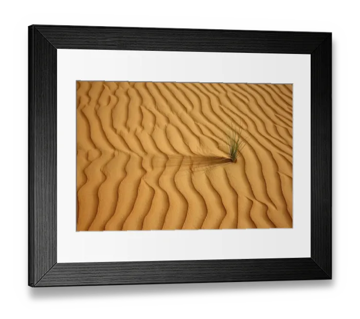 Framed Print : Red sand, sand dunes, Empty Quarter region of Rub'al-Khali desert where only few plants survive