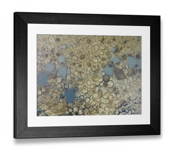 Framed Print : Conspicuous patterns at the bottom of the shallow lagoon Salinas de Cerrillos