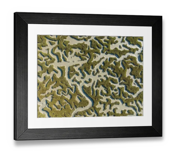 Framed Print : Network of dry channels and streams at low tide