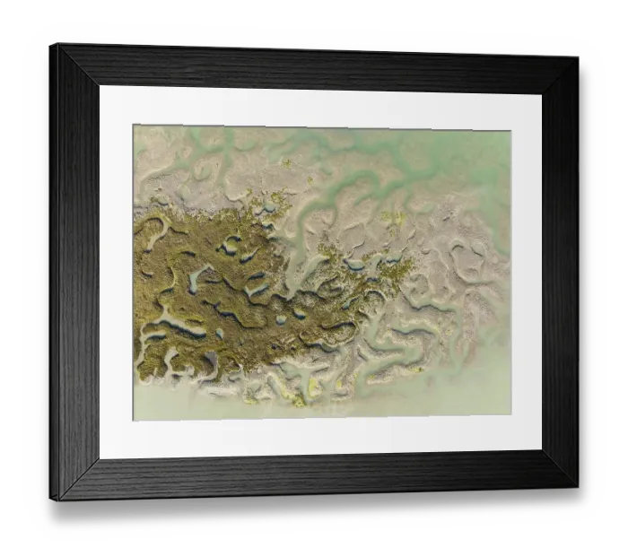Framed Print : Network of channels and streams at low tide