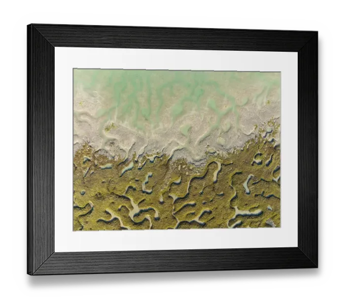 Framed Print : Network of channels and streams at low tide