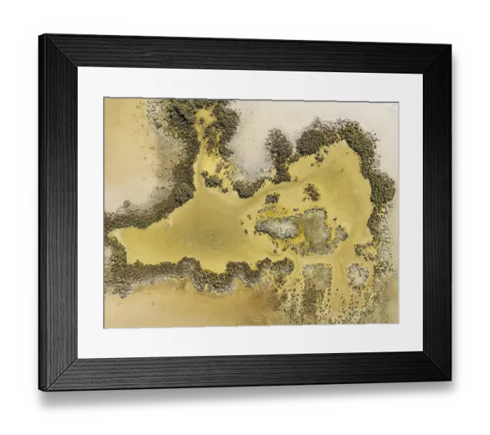 Framed Print : Marshland at low tide. Nature Reserve La Brena y Marismas del Barbate Framed Print : Marshland at low tide. Nature Reserve La Brena y Marismas del Barbate