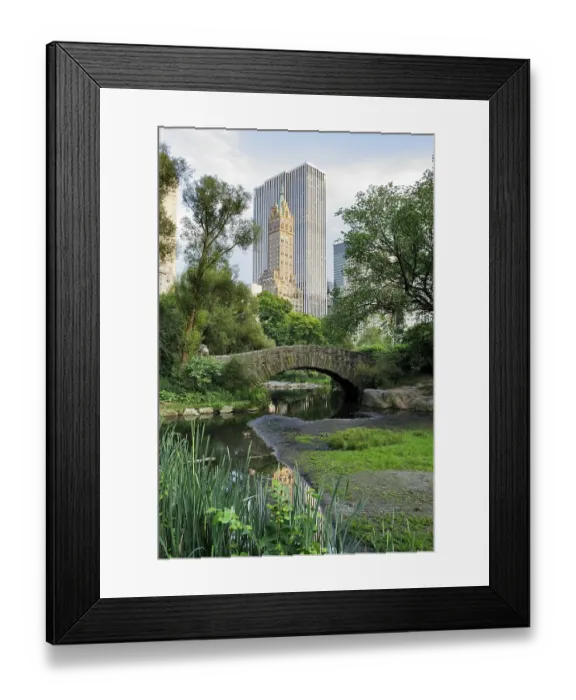 Framed Print : Gapstow bridge in Central Park
