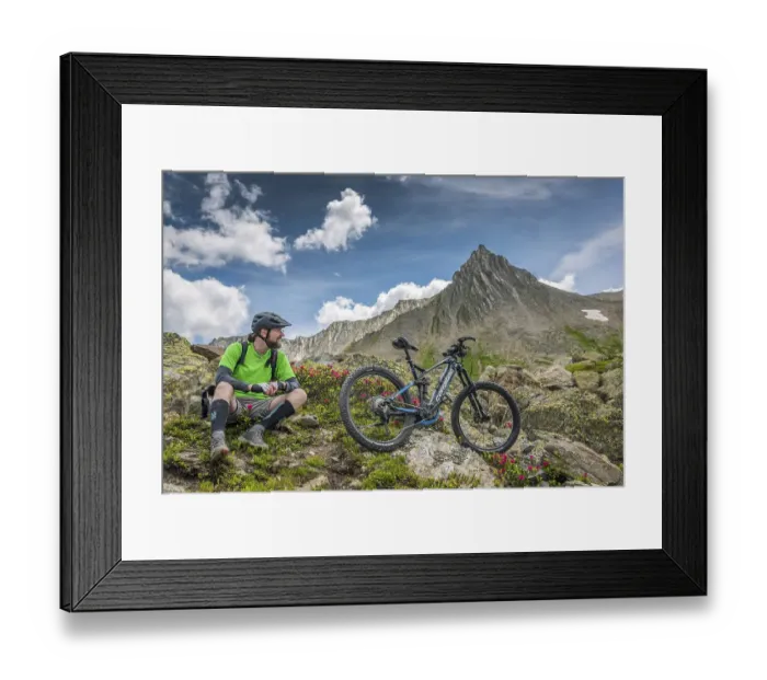 Framed Print : Mountain biker, in his early fifties sitting next to MTB on rocky terrain with alpine roses Serfaus