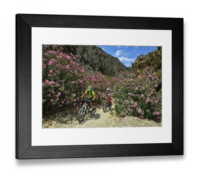 Framed Print : Two mountain bikers cycle between oleander bushes in the mountains