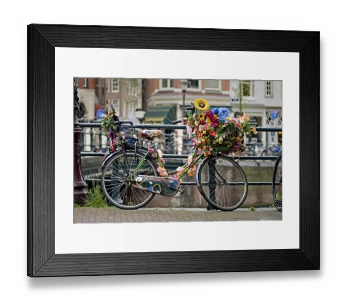 Framed Print : Bicycle decorated with flowers