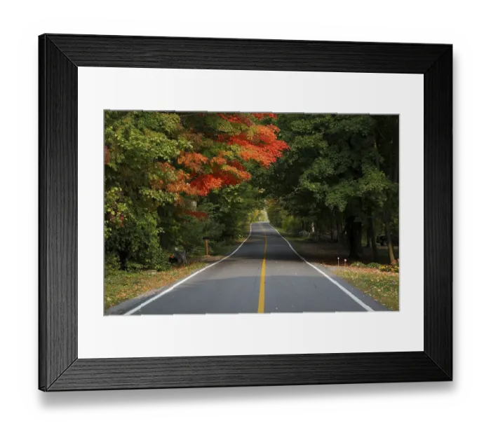 Framed Print : Country road through colourful autumn forest Framed Print : Country road through colourful autumn forest