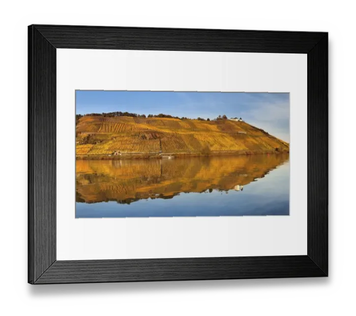 Framed Print : View of Marienburg Castle over vineyards in autumn