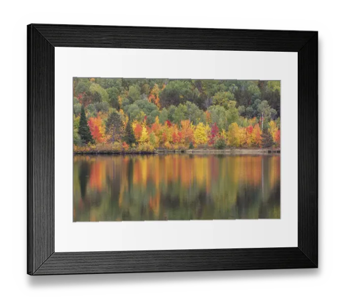 Framed Print : Madawaska River in autumn, autumn colouring
