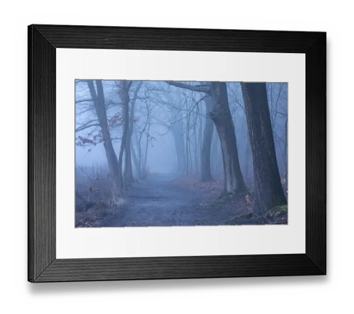 Framed Print : Forest path in misty autumn atmosphere Framed Print : Forest path in misty autumn atmosphere