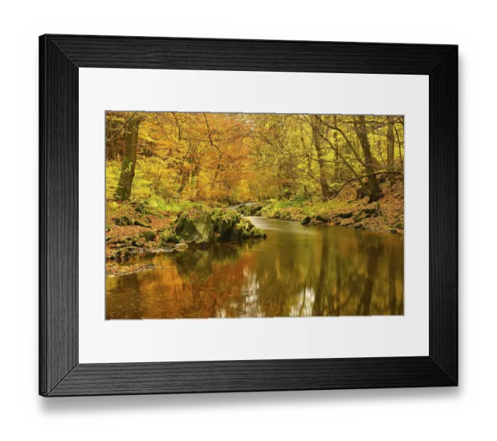 Framed Print : Schwarza River in the autumn, Schwarza valley between Bad Blankenburg and Schwarzburg Framed Print : Schwarza River in the autumn, Schwarza valley between Bad Blankenburg and Schwarzburg