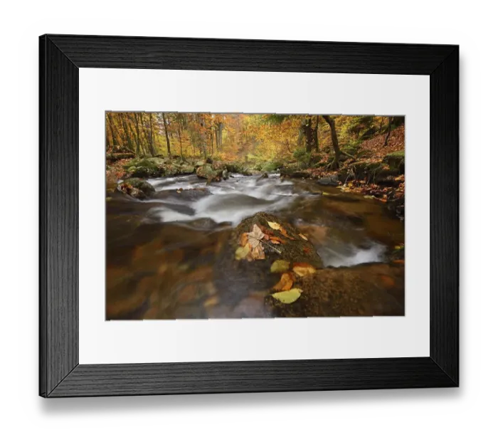 Framed Print : Mountain creek Ilse flows through autumnally coloured deciduous forest