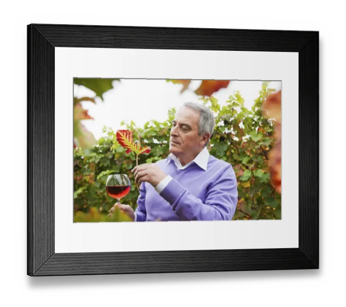 Framed Print : Winemaker or vintner holding a glass of wine in his vineyard