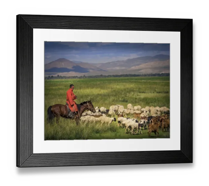 Framed Print : Nomad, rider on horseback with goats and sheep Framed Print : Nomad, rider on horseback with goats and sheep
