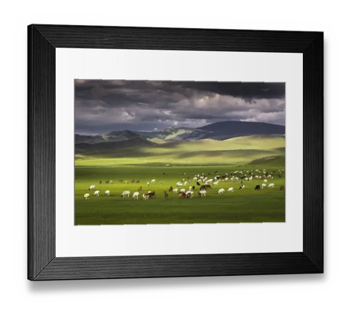 Framed Print : Flock of sheep Sheep grazing on the green pastures in front of the mountains