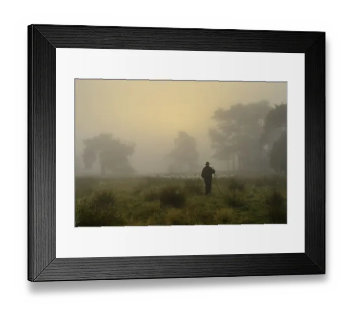 Framed Print : Shepherd with a flock of sheep in the heath at sunrise