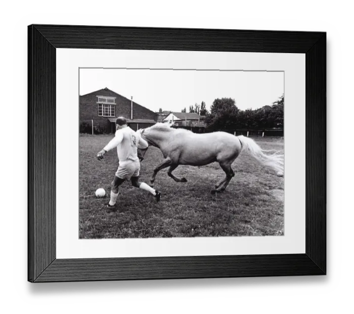 Framed Print : Horse and man at football, England, Great Britain