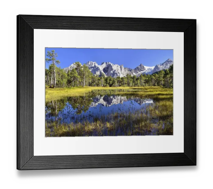 Framed Print : Chaltenbrunnen bog with the Engelhoernern mountains and Rosenlaui Glacier Framed Print : Chaltenbrunnen bog with the Engelhoernern mountains and Rosenlaui Glacier
