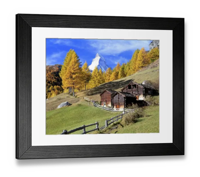 Framed Print : Wooden huts in front of larch trees with autumnal foliage and Mt Matterhorn Framed Print : Wooden huts in front of larch trees with autumnal foliage and Mt Matterhorn