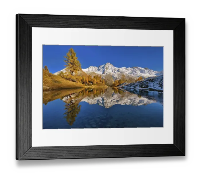 Framed Print : Lac Bleu with autumn coloured larch Framed Print : Lac Bleu with autumn coloured larch