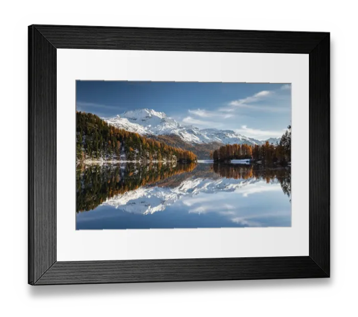 Framed Print : Autumnal larch forest and snow-covered mountains are reflected in the Lake Champfer