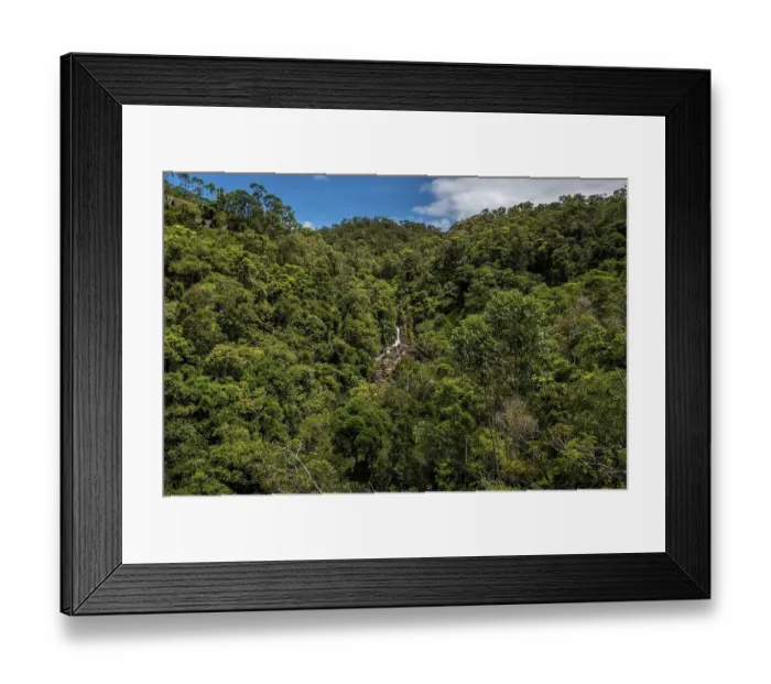 Framed Print : Voimana rainforest in eastern Madagascar Framed Print : Voimana rainforest in eastern Madagascar