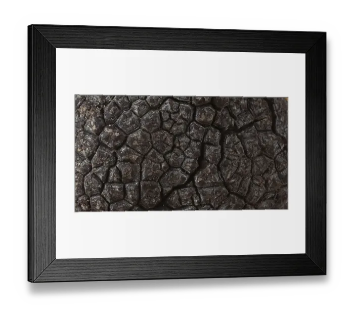 Framed Print : Perigord Truffle (tuber melanosporum), Mushrooms
