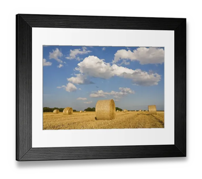 Framed Print : Bale of straw on a grain field