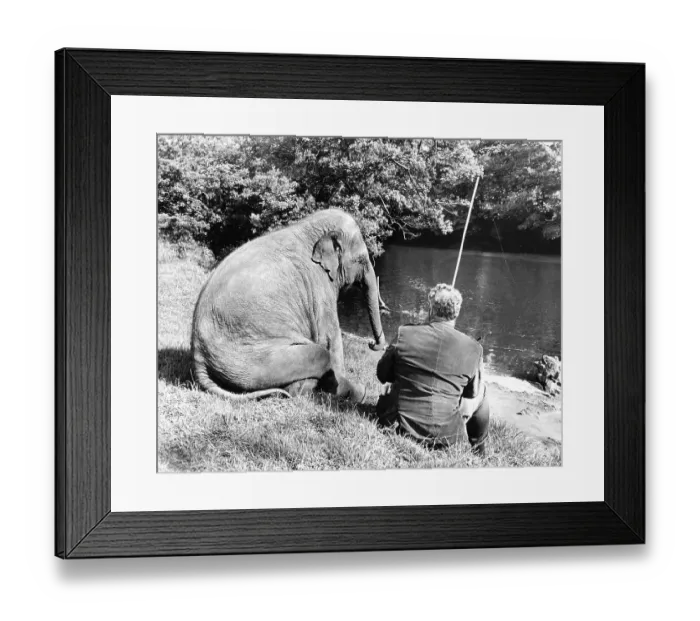 Framed Print : Elephant and man sit together by the river and fish Framed Print : Elephant and man sit together by the river and fish