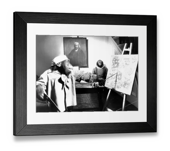 Framed Print : Monkey painting picture, England, Great Britain