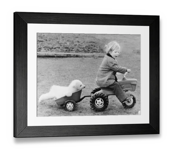 Framed Print : Little polar bear and girl with toy car