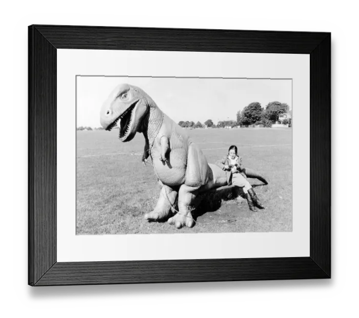 Framed Print : Woman sitting on Dino, England, Great Britain