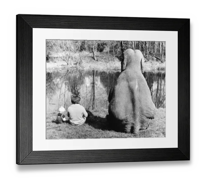Framed Print : Elephant fishing, England, Great Britain
