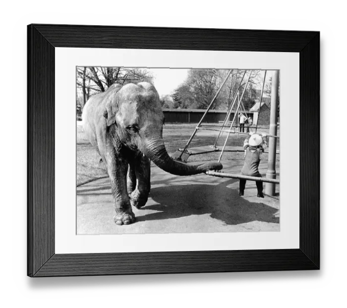 Framed Print : Elephant on the children's playground Framed Print : Elephant on the children's playground